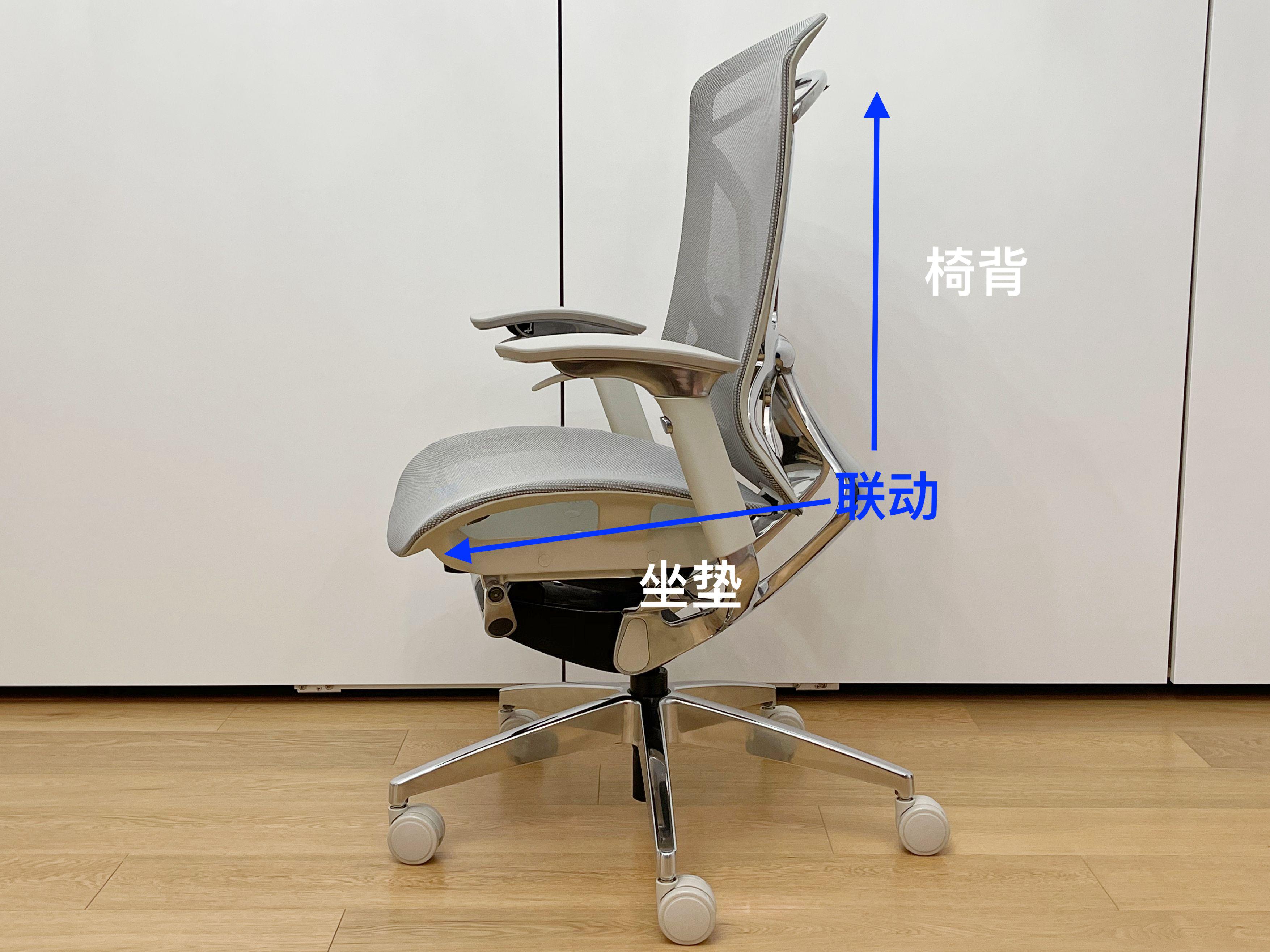 入门款人体工学椅测评,小蛮腰人体工学椅评测