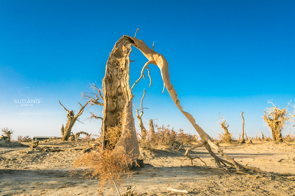 疆内哪里好玩风景好,疆内好玩的地方推荐