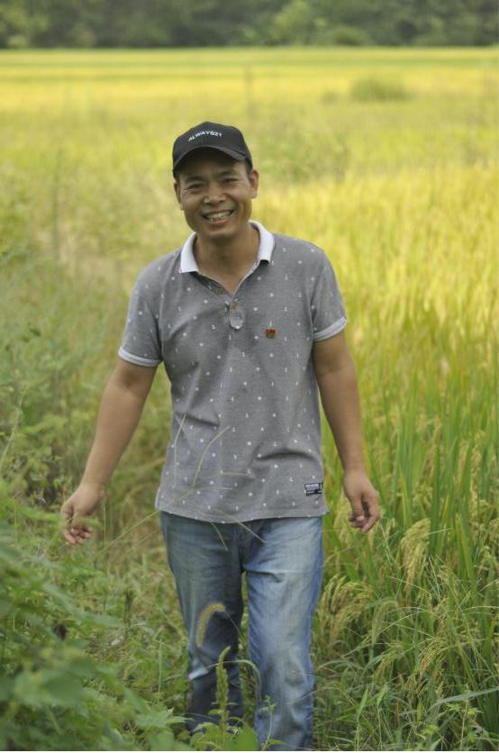 偃师划入洛阳中心城区,偃师区作为洛阳副中心城市