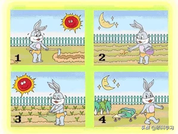 一二年级必考看图写话训练及范文,二年级看图写话写作技巧及练习