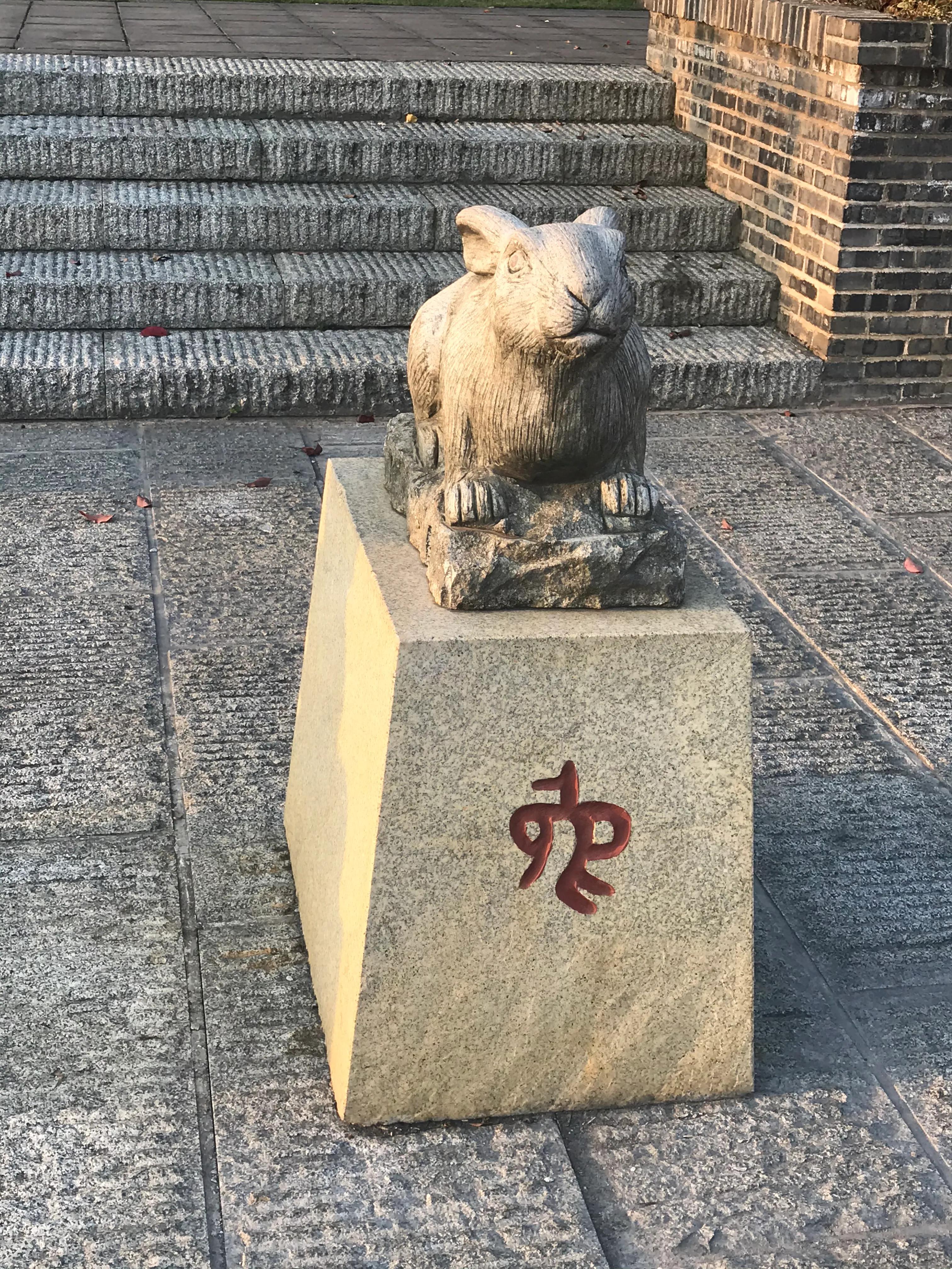 洋沙湖湿地公园游记,洋沙湖游记作文