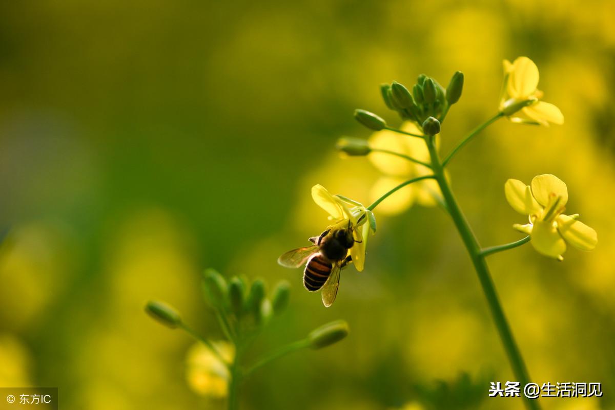 人心叵测要小心提防,人心叵测永远琢磨不透