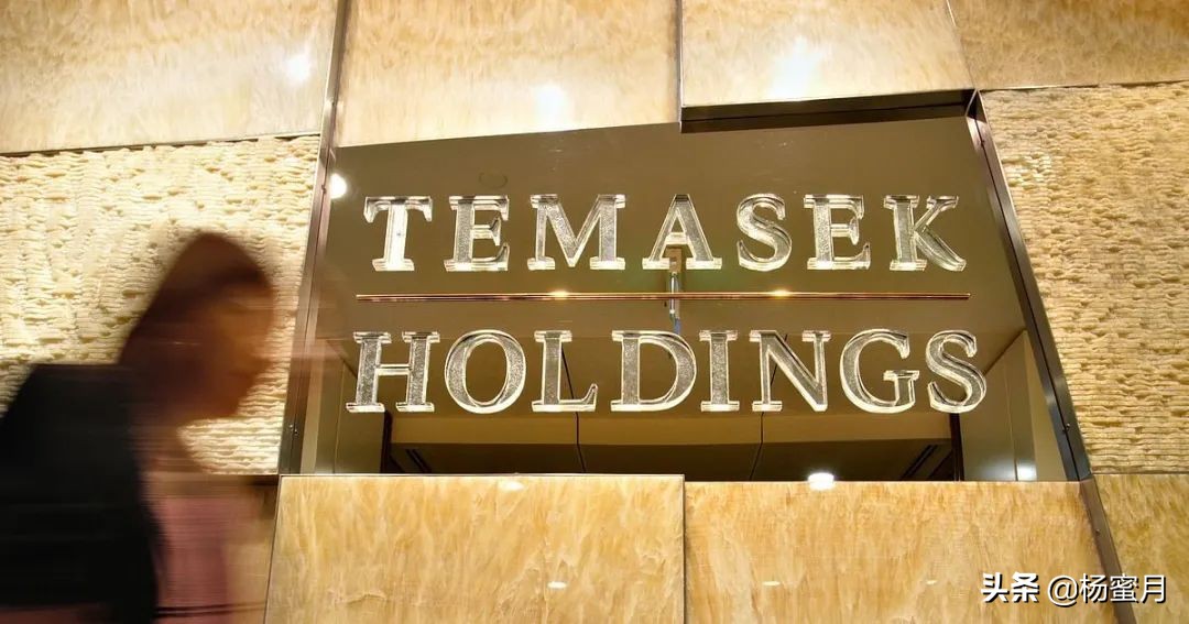 女生怎么变得笨笨的,为啥女的笨笨的