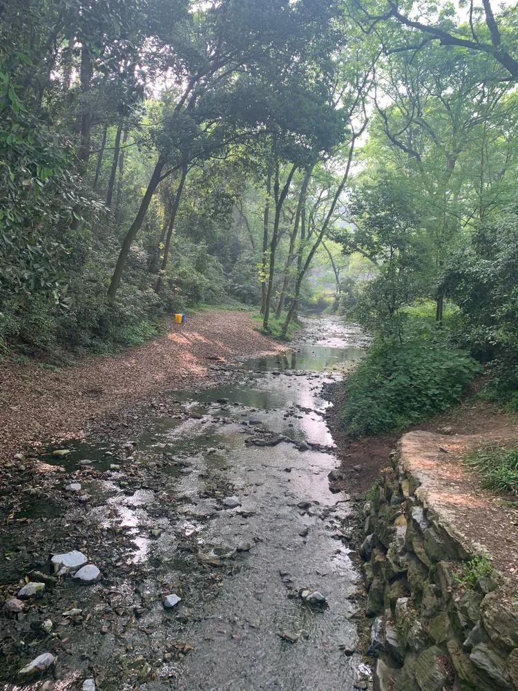 龙井村九溪十八涧徒步最佳路线图,九溪十八涧只有龙井村一个出口吗