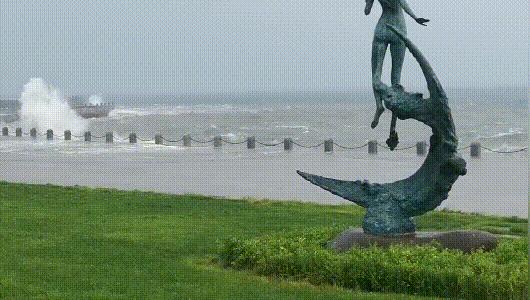 紧急救援大连,大连应急响应最新