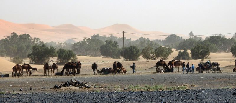 撒哈拉沙尘暴照片,撒哈拉沙漠沙尘暴实拍
