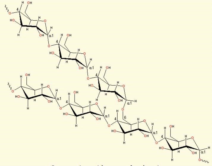 糯米好吸收吗,糯米到底好不好消化