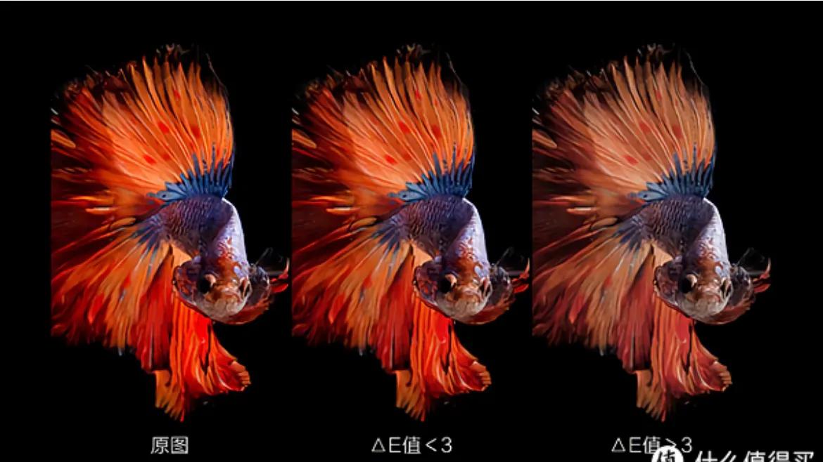 如何挑选一款合适的显示屏,新手入门使用什么样的显示屏