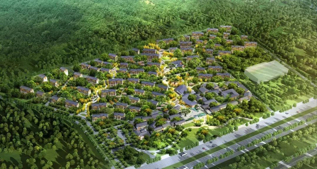 创造营2019是在星光岛拍的吗,创造营2020青岛