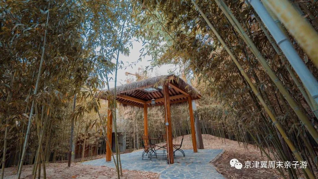 霸州日月潭温泉会馆介绍,霸州日月潭温泉攻略