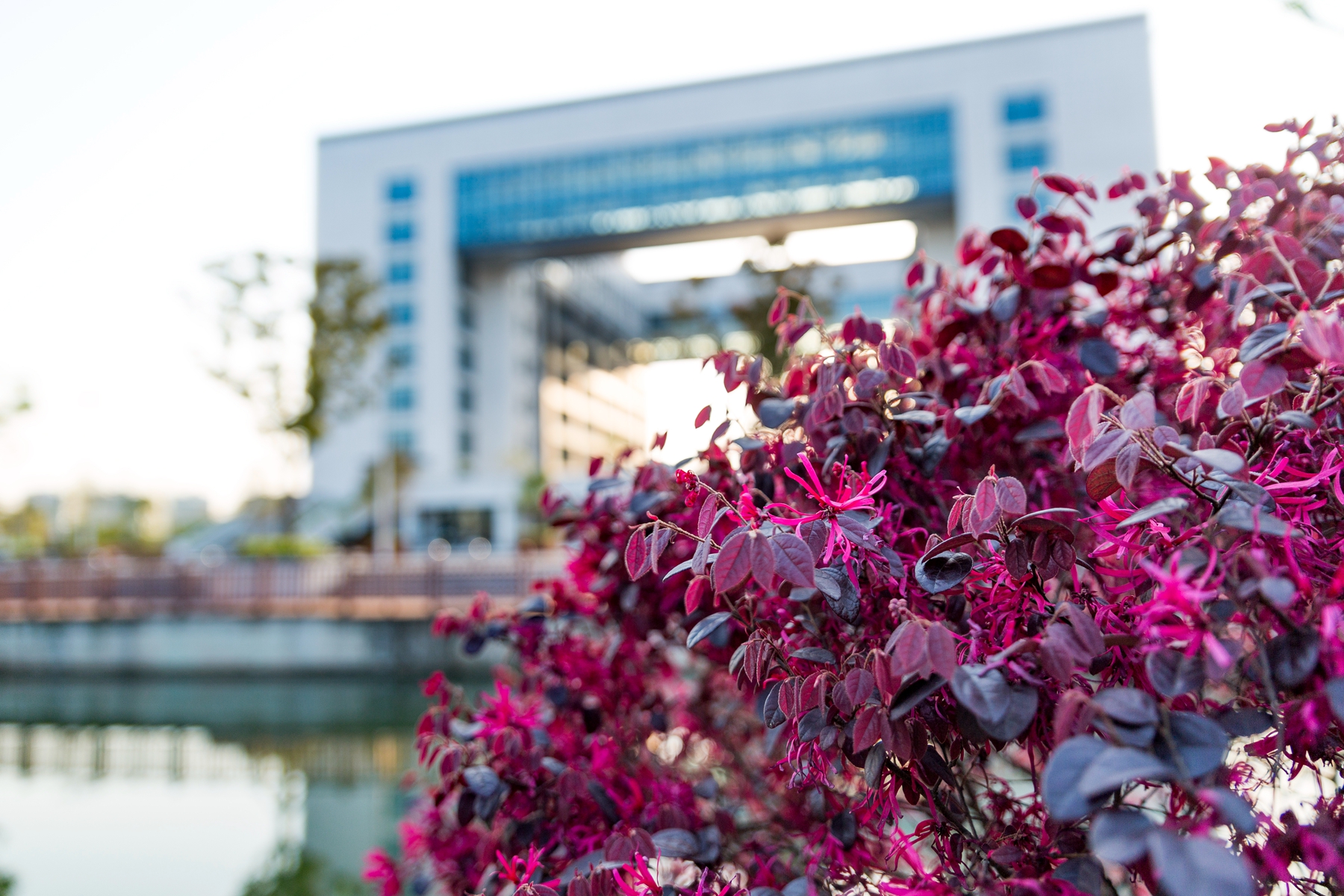 湖州日报新闻,湖州日报副刊