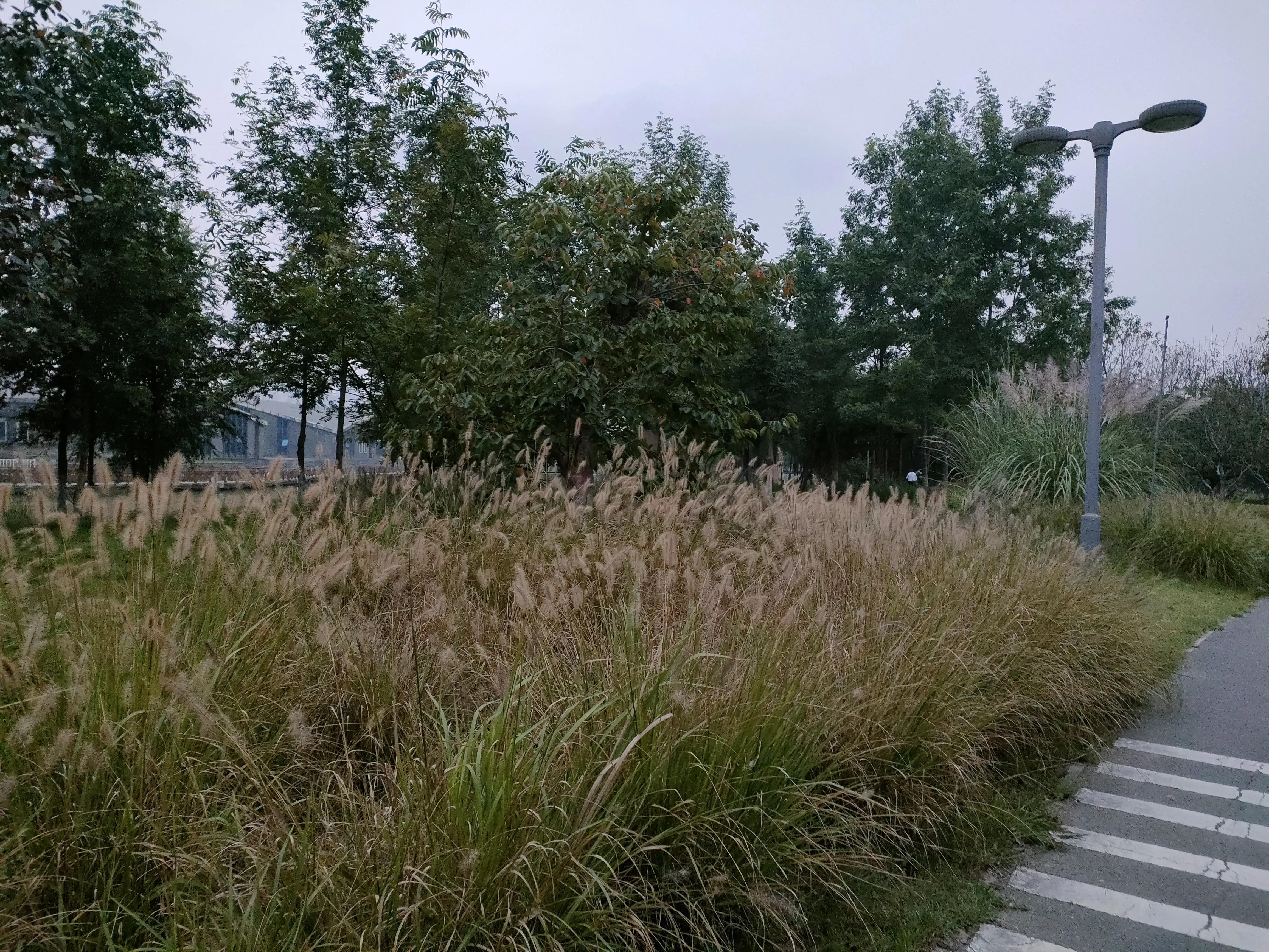 游西安曲江海洋极地公园,国庆去西安海洋极地公园