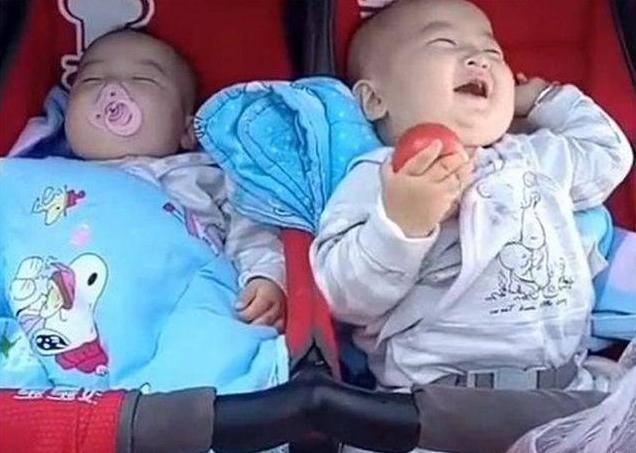 双胞胎两个爹亲子鉴定结果,双胞胎亲子鉴定一个不是亲生