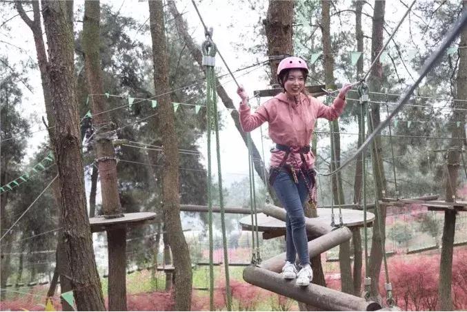 贵阳最快到达的“树屋王国”，一个童话照进现实的地方