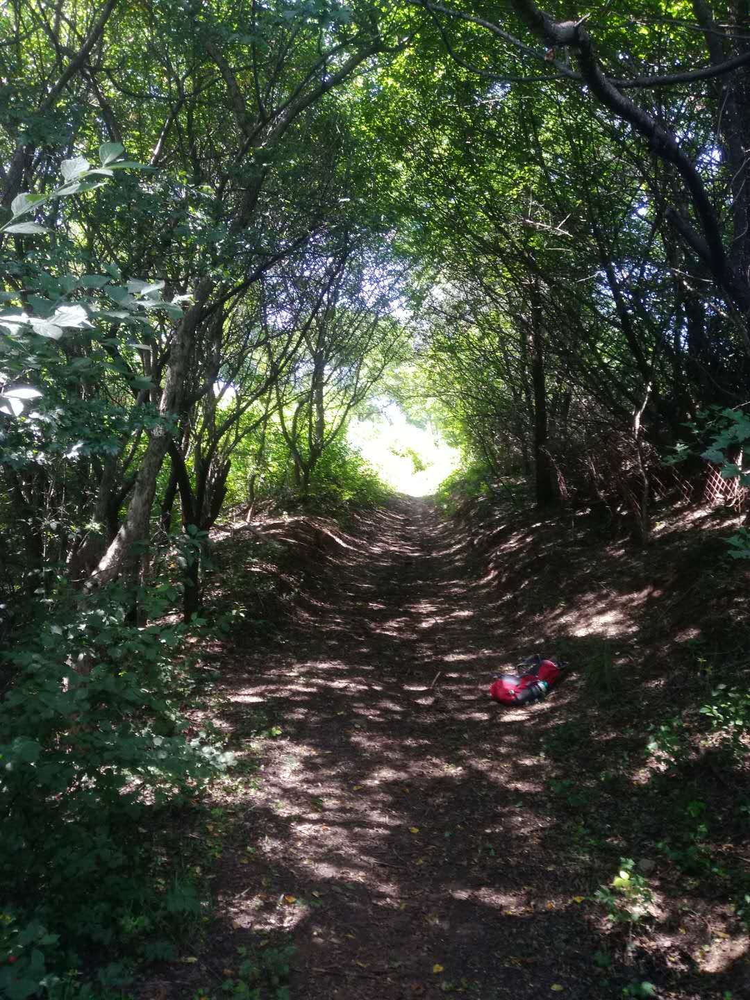 《等闲》第五十八章陪伴并教练孩子，达成共同成长