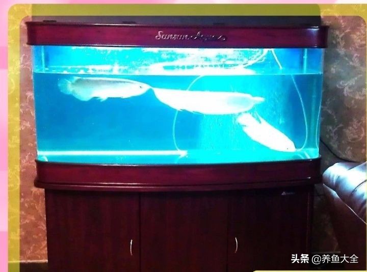 我要离婚老婆不同意,我要离婚老婆也要离婚