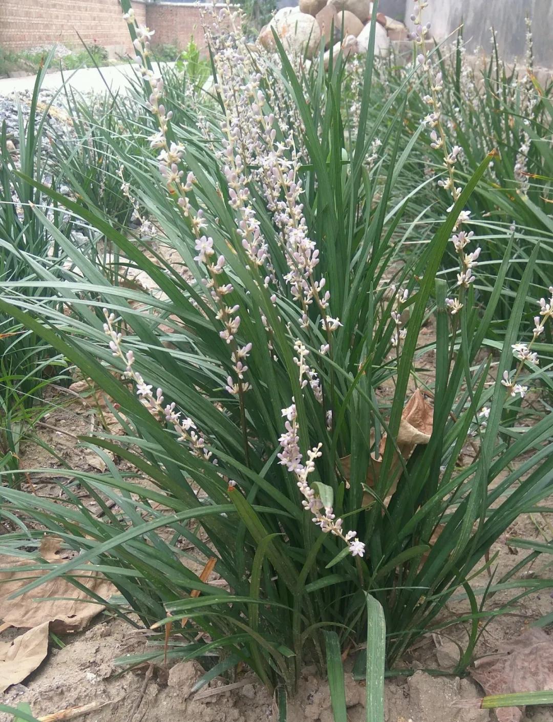 教你如何避开假货买到真品,一张图告诉你怎样分辨假货