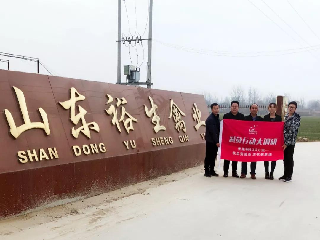 助力村民养鸡致富,山东裕生禽业有限公司