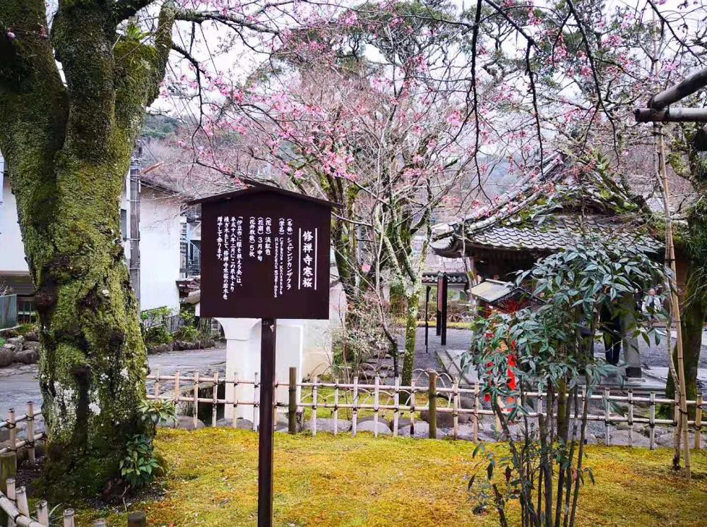 诗词刘柏荣,刘柏荣的诗词