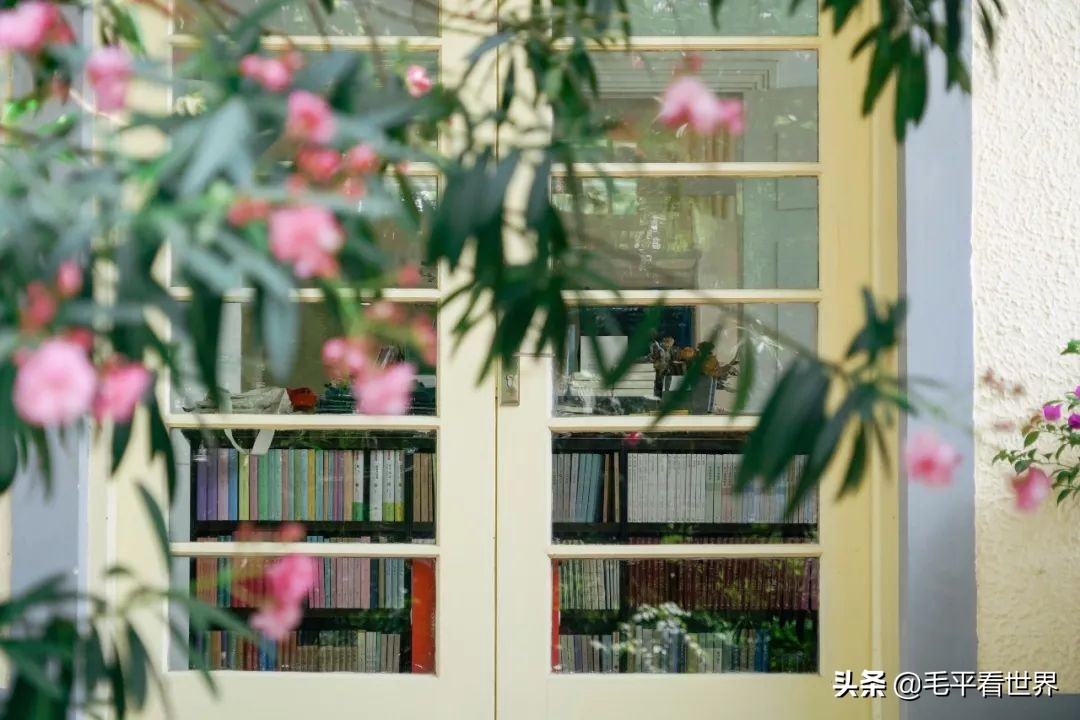 你眼中的南京是什么样子,你眼中的南京