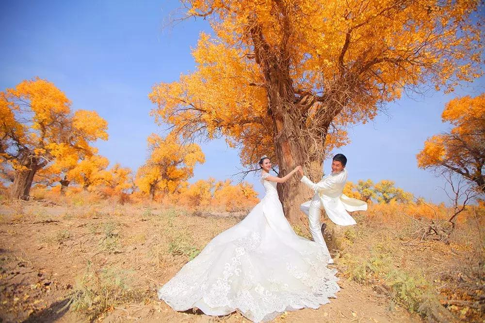 额济纳旅游自由行攻略,额济纳旗旅游最佳省钱攻略