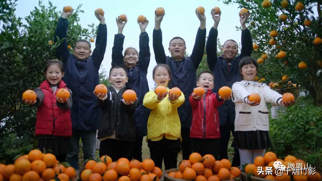 不知火春见,不知火丑橘春见