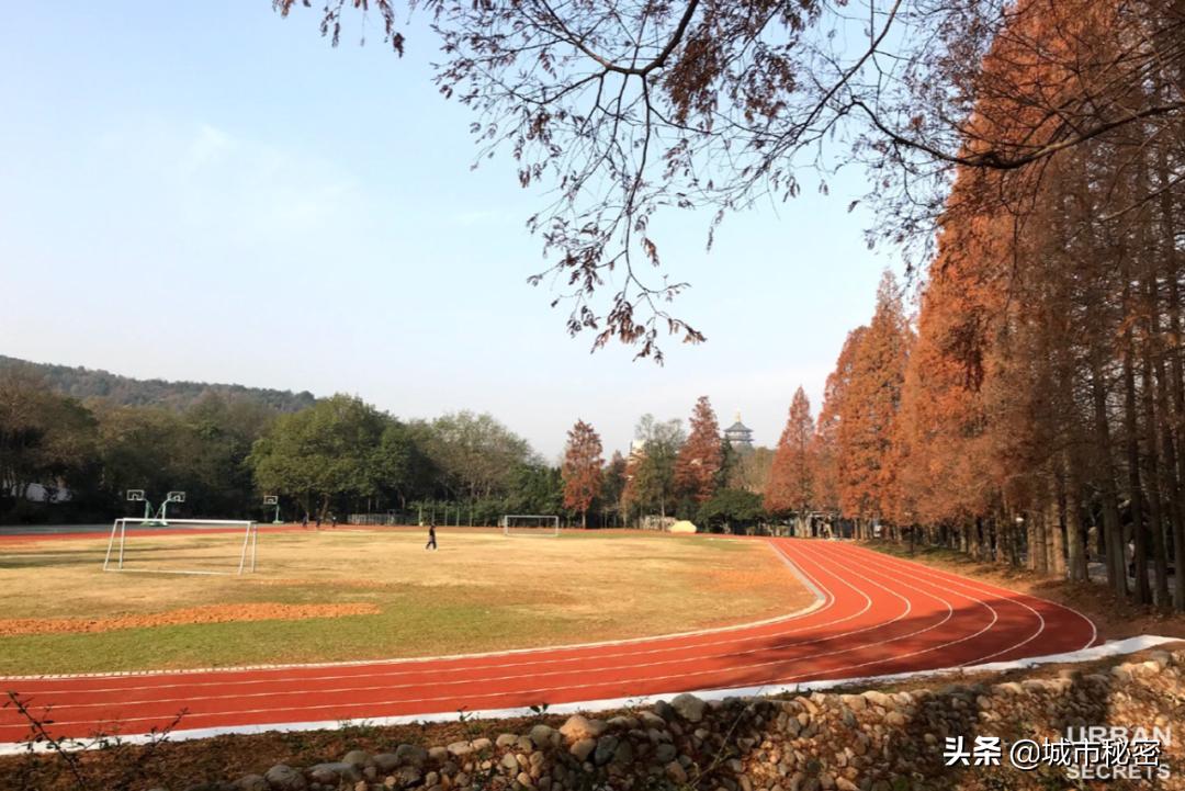杭州小学名师诞生地（上）