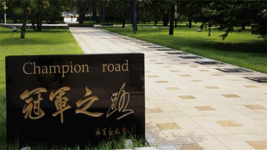 独家发布！2021软科中国大学专业排名系列：体育学类专业