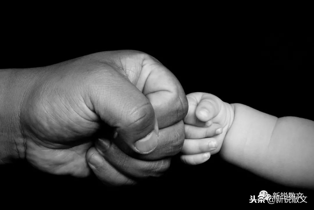 父亲年轻时背上的龙形胎记惊动了日本鬼子，临终不许说自己不行了