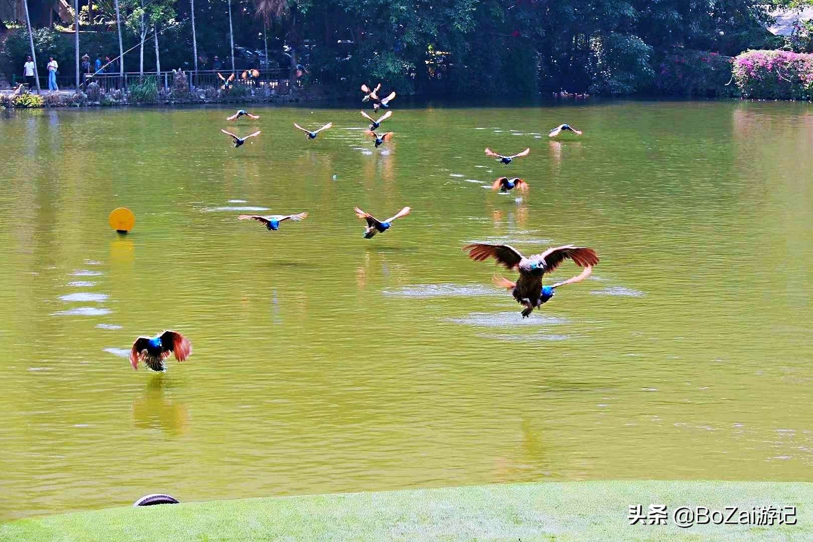 云南西双版纳到文山途经哪些景点,西双版纳适合6-12岁儿童的景点