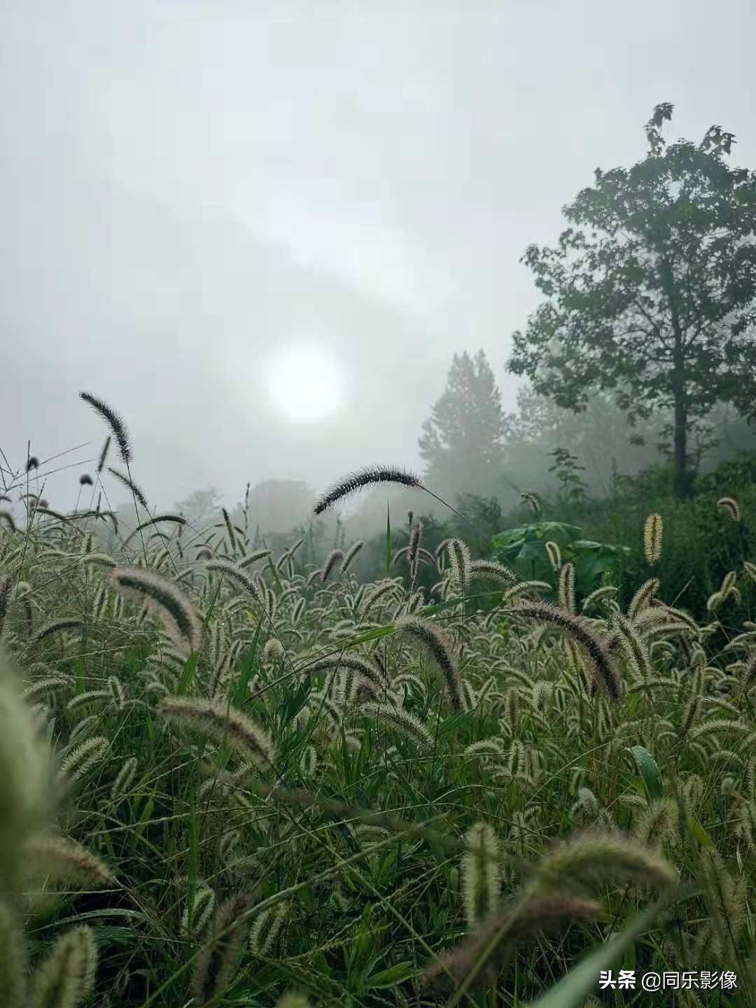 河南汝阳靳村鱼山,靳村鱼山