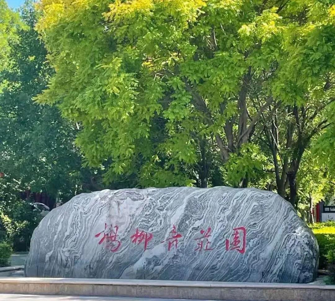 天津网红打卡点攻略,天津网红打卡地一览表