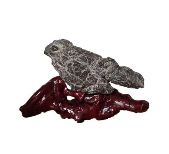 都是些什么“鸟石”？保证有你好看