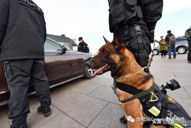 警犬新式摄像头,警犬全息防护系统