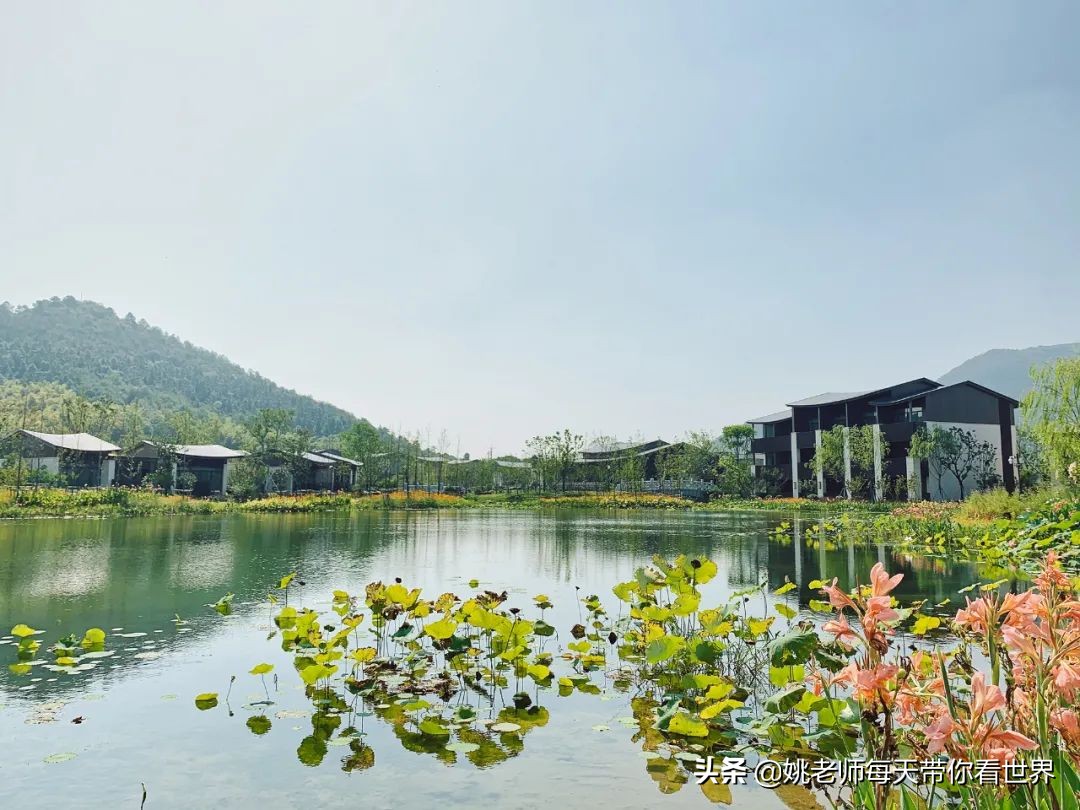 娉板浗濂㈢墝娓╂硥,鑻忓窞鍦扮儹娓╂硥