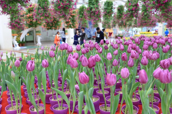 森林花海亲子游攻略,森林公园亲子游推荐