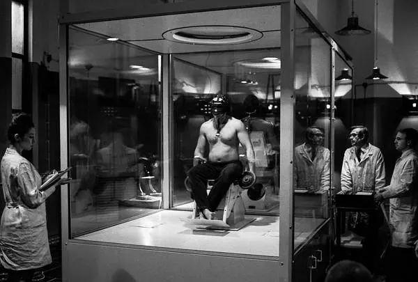 列夫·朗道娜塔莎好看吗,列夫朗道娜塔莎完整版多了什么