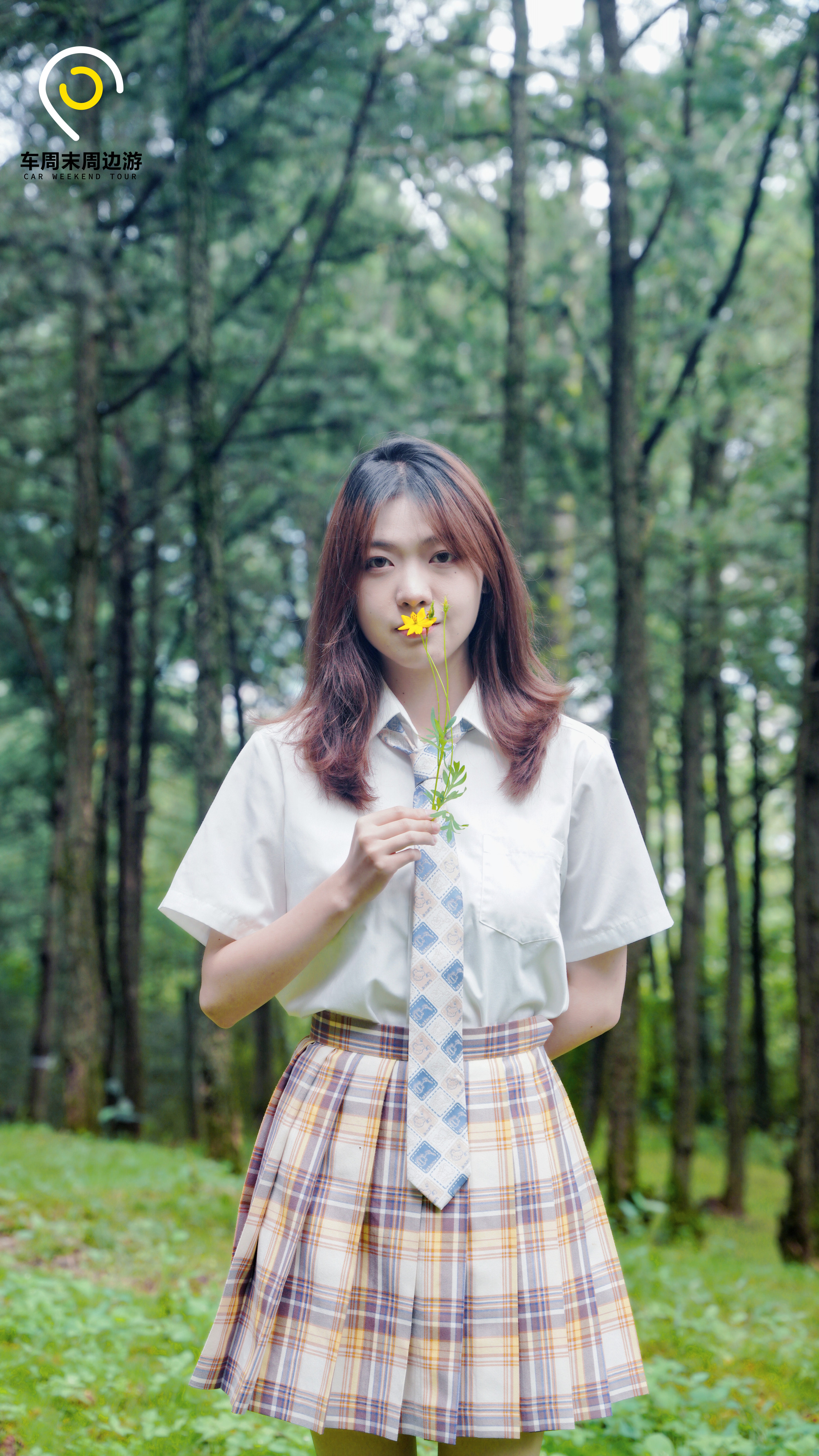 昆明游玩露营攻略路线,自驾游昆明露营攻略最新