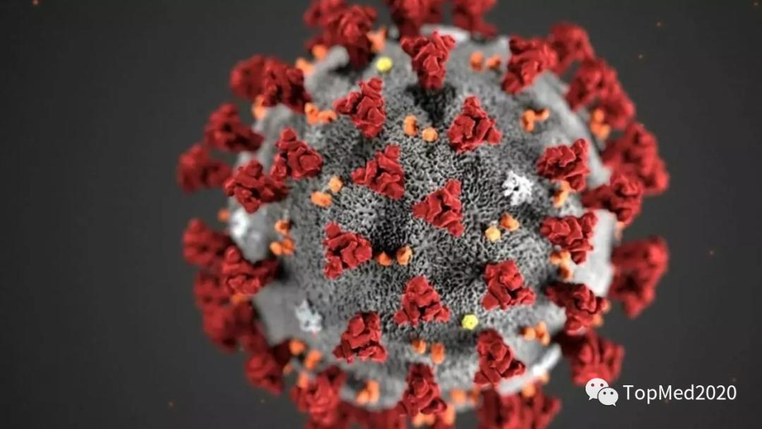 精子新冠阳性怎么办？专家建议禁欲或避孕以预防对胎儿的危害