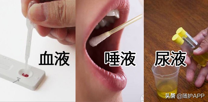 hiv试纸血液唾液尿液哪个准确最高,hiv唾液和血液测试结果哪个准确