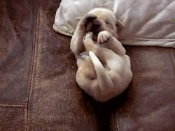 双十一我的第一个快递是假货！泰国爆款皇家足贴真假辨别