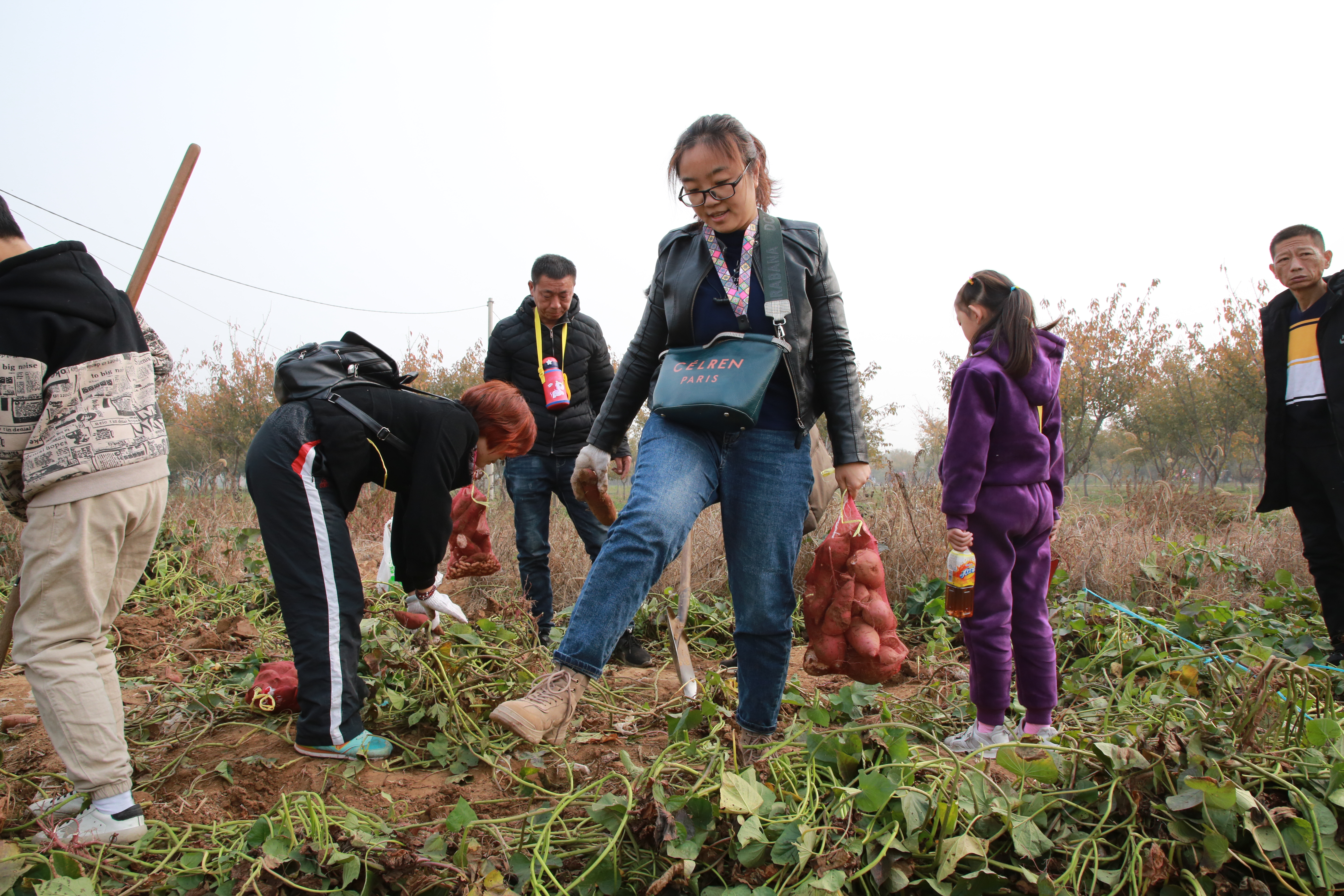 浩宇农庄丛林探险项目都有哪些,安阳殷墟浩宇农庄