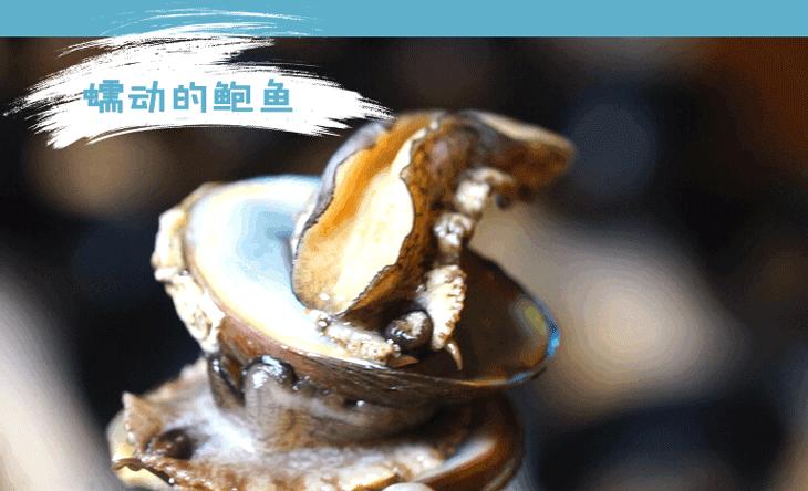 全球美食聚集城南这座“岛屿”，均价不到1块钱！