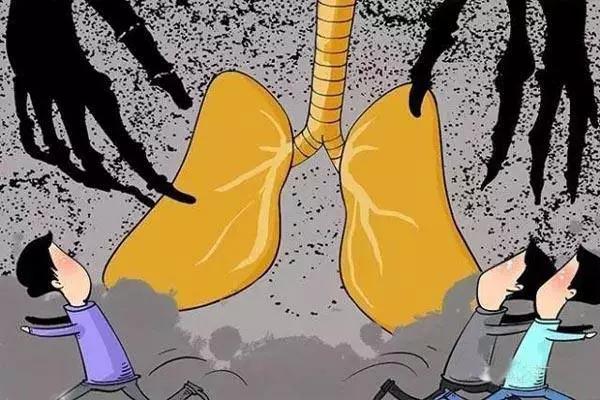 一文读懂波尔多液,一文读懂抗生素