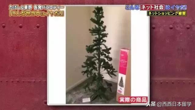 日本吐槽中国综艺节目,日本综艺吐槽中国