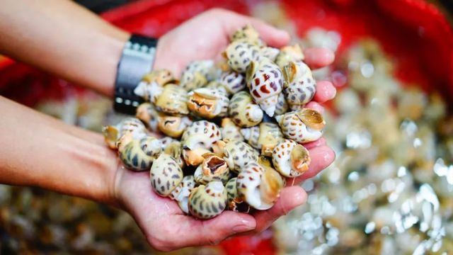 当地无人不知的几十年老店,无人不知的特色菜