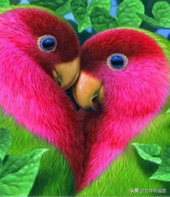 今天是6.4，夫妻日，百年一遇的吉祥日子，送给天下所有的夫妻