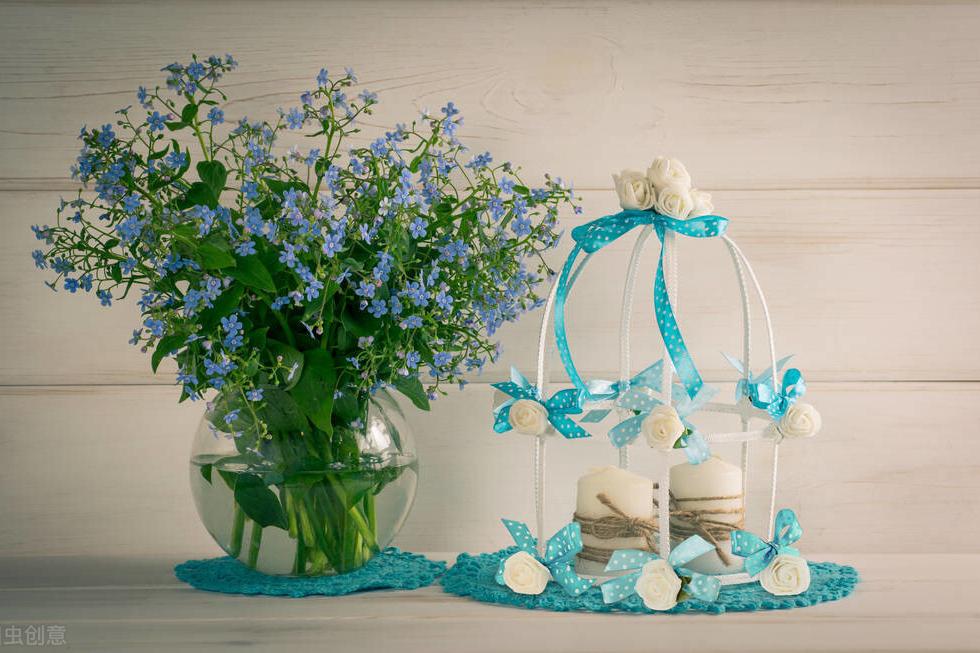 勿忘我的养殖方法和注意事项,勿忘我怎么养