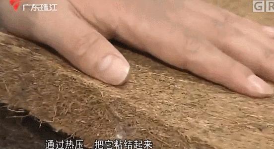 椰棕垫怎么测有没有甲醛,有毒的椰棕床垫