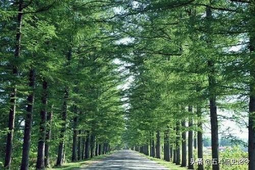 古代人没有导航怎么出行,古代没导航怎么走